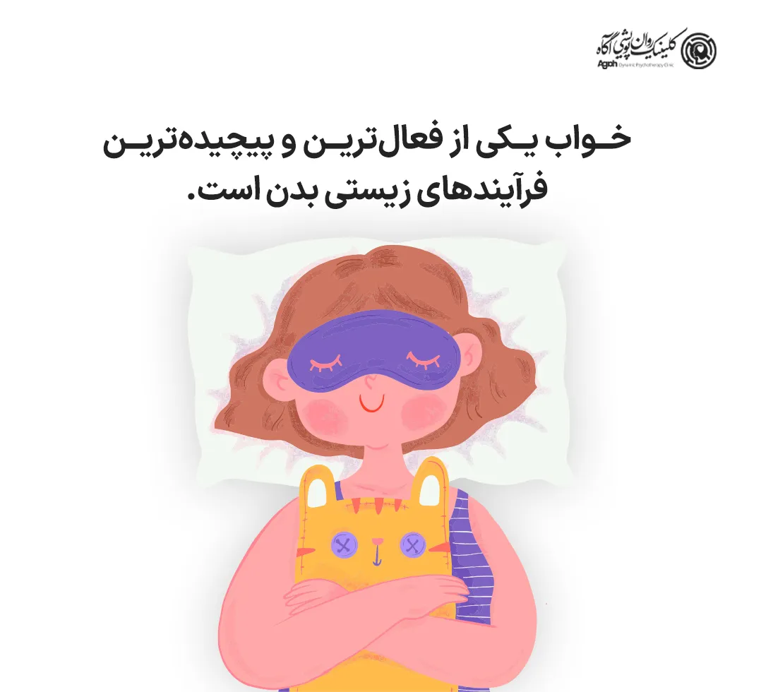 خواب حالتی منفعل نیست؛ بلکه یکی از فعالترین و پیچیدهترین فرآیندهای زیستی بدن در همین ساعات خاموشی رخ میدهد.