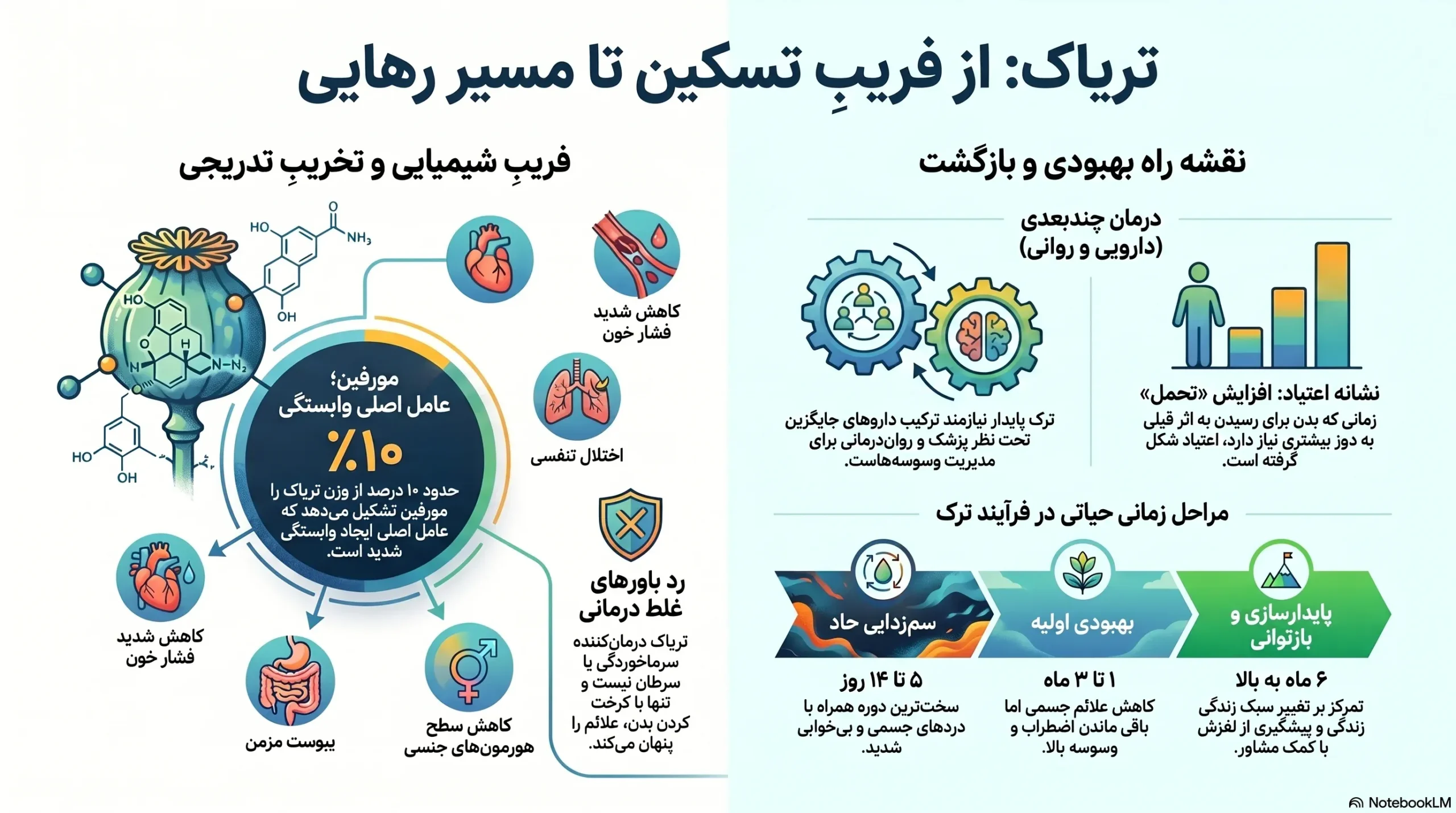 اینفوگرافیک به زبان فارسی درباره مراحل ترک اعتیاد، چالشهای وابستگی به مورفین و تصورات غلط در مورد درمان.