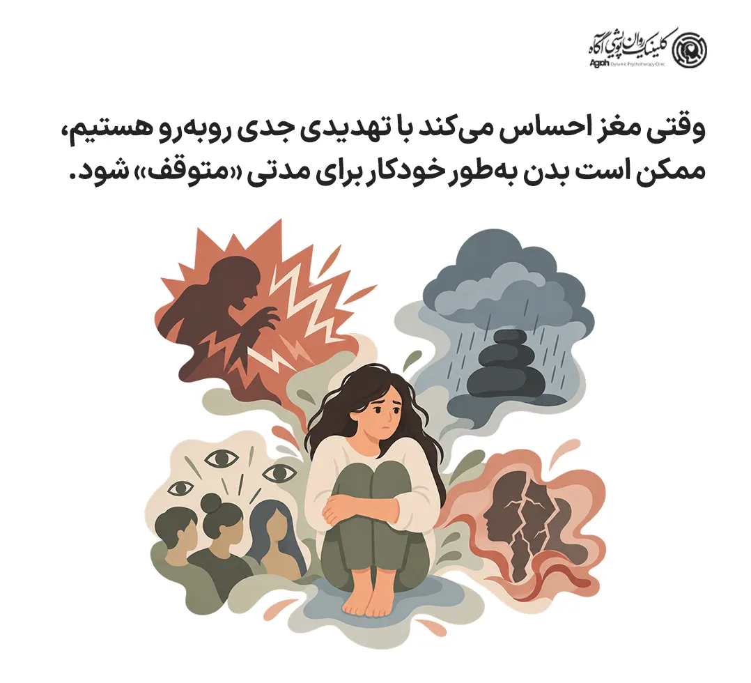 پاسخ فریز چیست