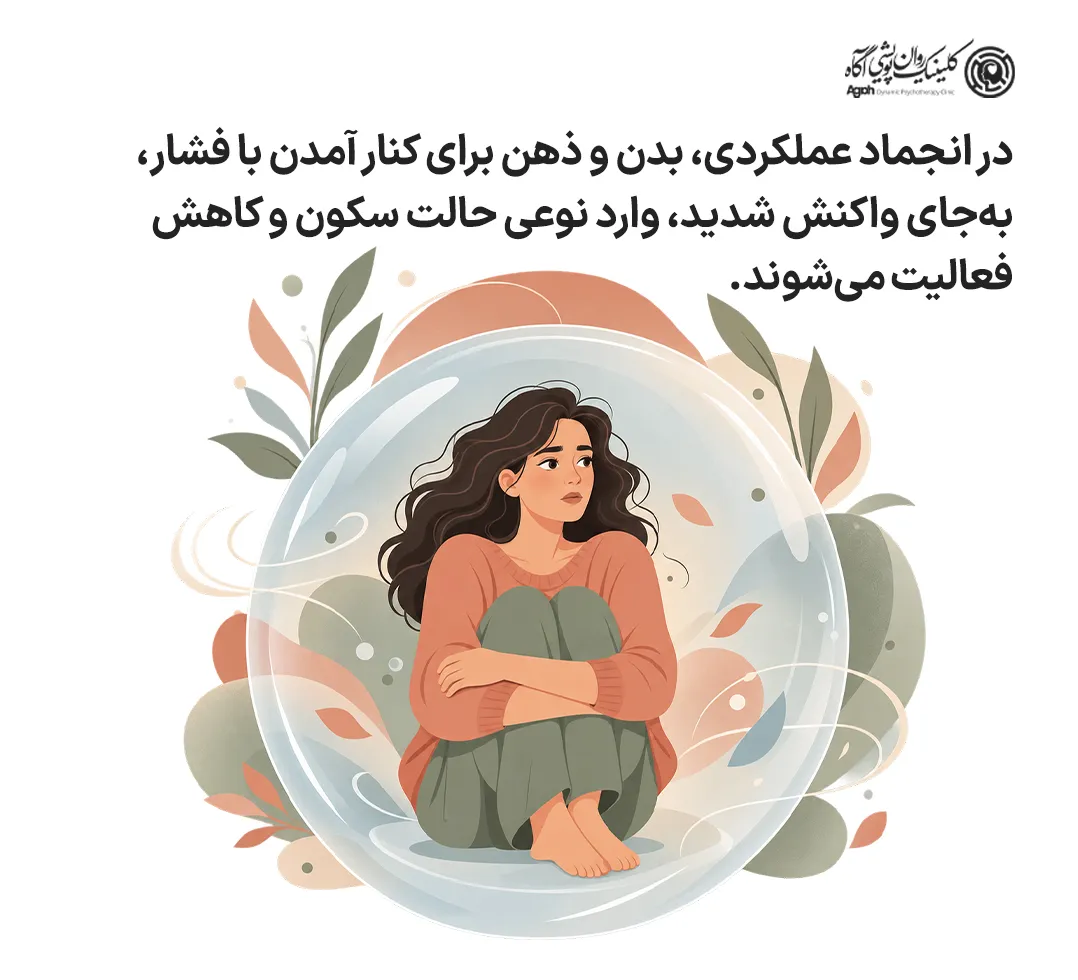 انجماد عملکردی
